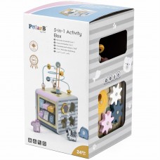 5-in-1 Activity Box/